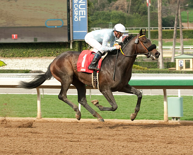 Prospect Park Maiden