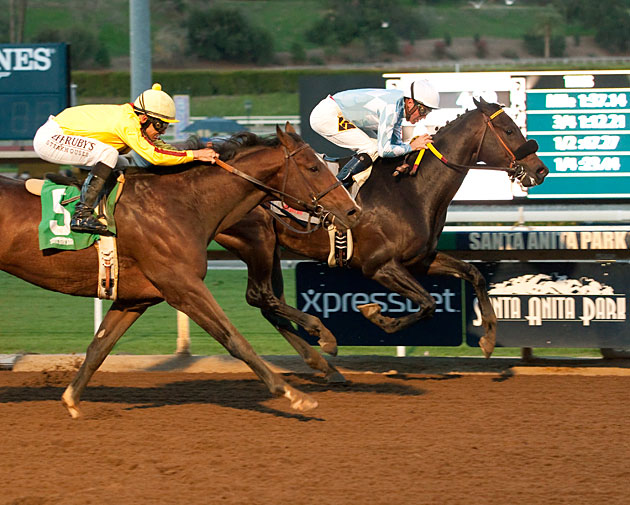 Prospect Park Maiden