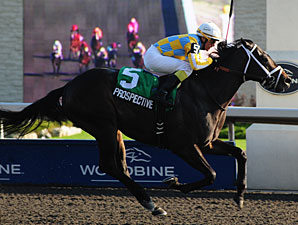 Grey Stakes Easy as 1-2-3 for Mark Casse Grey Stakes Easy as 1-2-3 for Mark Casse