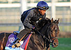 Casse, Oxley Are a Breeders' Cup Dynamic Duo