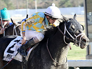Prospective to Stand at Ocala Stud Prospective to Stand at Ocala Stud
