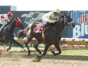 Casse Considers Two Oxley Colts for Haskell Casse Considers Two Oxley Colts for Haskell