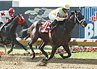 Prospective Captures Slender Ohio Derby Prospective Captures Slender Ohio Derby