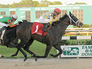 Prospective Shows Promise in Tampa Derby Win Prospective Shows Promise in Tampa Derby Win