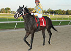 Prospective Is Tough on Triple Crown Trail Prospective Is Tough on Triple Crown Trail