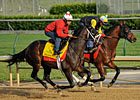 Prospective Posts Final Work at Churchill