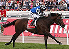 Protectionist Flies to Melbourne Cup Win Protectionist Flies to Melbourne Cup Win