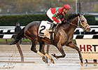 Protonico Flies From Last to Win Discovery Protonico Flies From Last to Win Discovery