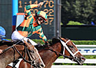 Proud Spell Eyes Big Purse in Cotillion