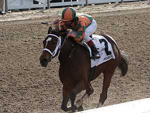 Proud Spell Narrow Choice in Oaks Future Proud Spell Narrow Choice in Oaks Future