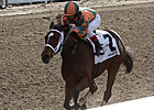 Proud Spell Narrow Choice in Oaks Future
