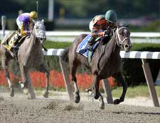 Proud Spell Scores Convincingly in Matro Proud Spell Scores Convincingly in Matro