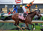 Proud Spell Will Miss Apple Blossom Proud Spell Will Miss Apple Blossom