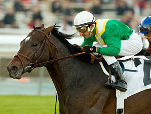 Proudinsky Returns in Belmont's Knickerbocker Proudinsky Returns in Belmont's Knickerbocker