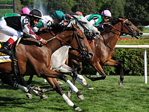 Proviso Earns Third Straight G1 in Diana