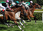 Proviso Earns Third Straight G1 in Diana Proviso Earns Third Straight G1 in Diana