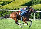 Proviso in BC Mile Tune-up at Keeneland