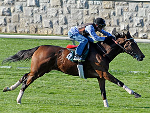 Juddmonte's Proviso Retired Juddmonte's Proviso Retired