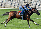 Juddmonte's Proviso Retired
