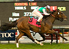 Proviso, Wasted Tears Top Tough First Lady Proviso, Wasted Tears Top Tough First Lady