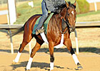 Proviso Strong in Gallop Out at Churchill