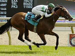 Prussian Looks to Return to Winning Ways Prussian Looks to Return to Winning Ways