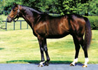 Claiborne Drops Pulpit's Fee