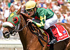 Grade I Winner Pure Clan Retired, Sold Grade I Winner Pure Clan Retired, Sold