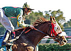 Pure Clan Aims Higher in Golden Rod