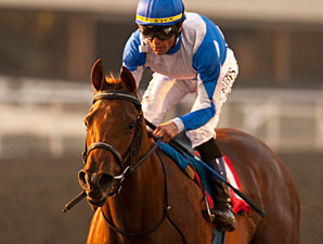 http://cdn.bloodhorse.com/images/content/PureFunHollywoodStarlet2012_5BEN298.jpg