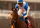 Pure Fun Tops Full Field in Bourbonette Oaks Pure Fun Tops Full Field in Bourbonette Oaks