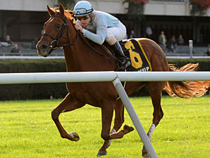 Belmont Turf Stakes Produce BC Hopefuls Belmont Turf Stakes Produce BC Hopefuls