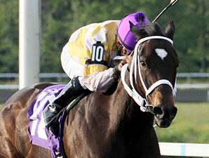 Purely Hot Heads to Woodbine for Bessarabian Purely Hot Heads to Woodbine for Bessarabian