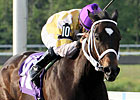 Purely Hot Heads to Woodbine for Bessarabian Purely Hot Heads to Woodbine for Bessarabian