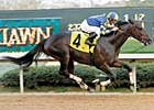 Graded Winner Purim's First Foal
