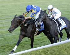 Purim Snatches Shadwell Turf Mile Win at Wire Purim Snatches Shadwell Turf Mile Win at Wire