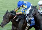 Purim Snatches Shadwell Turf Mile Win at Wire