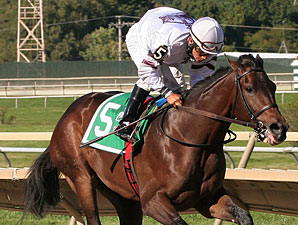 Purple Egg Joins Field for Gallant Bob Stakes Purple Egg Joins Field for Gallant Bob Stakes