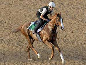 Rain Could Impact Sheema Classic Outcome Rain Could Impact Sheema Classic Outcome