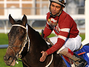 Pyro Had the Look of a Winner Early On Pyro Had the Look of a Winner Early On