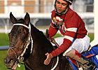 Pyro Had the Look of a Winner Early On Pyro Had the Look of a Winner Early On