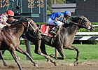 Short But Strong Field to Contest Cigar Mile Short But Strong Field to Contest Cigar Mile