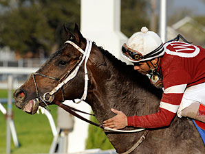 Ky. Derby Trail: Py in the Sky Ky. Derby Trail: Py in the Sky