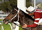 Ky. Derby Trail: Py in the Sky