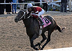 Asmussen Stablemates to Run in La. Derby