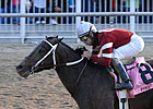 Pyro, Cool Coal Man Top Blue Grass Noms Pyro, Cool Coal Man Top Blue Grass Noms