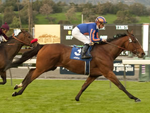 Qaraaba Captures Robert J. Frankel Qaraaba Captures Robert J. Frankel