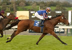 Qaraaba Captures Robert J. Frankel Qaraaba Captures Robert J. Frankel
