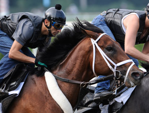 Travers Notes: Quality Road in Final Breeze Travers Notes: Quality Road in Final Breeze