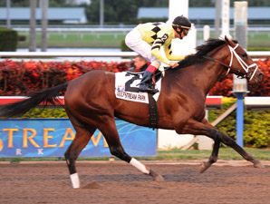 Quality Road Tops Donn Handicap Nominees Quality Road Tops Donn Handicap Nominees